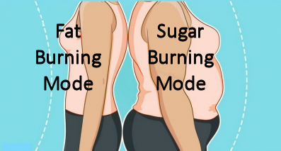 fat burning versus fat storing