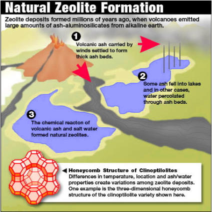 Natural Zeolite Formation