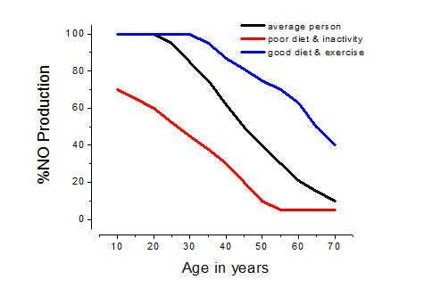 nitric oxide production declining with age